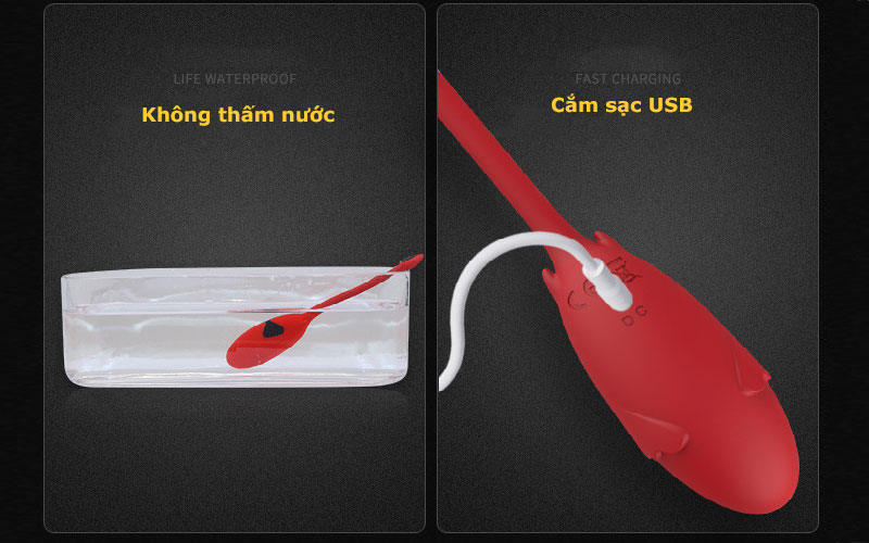 Cach sac trung-rung-thong-minh-poptoy-usa